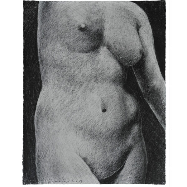 Female torso drawing